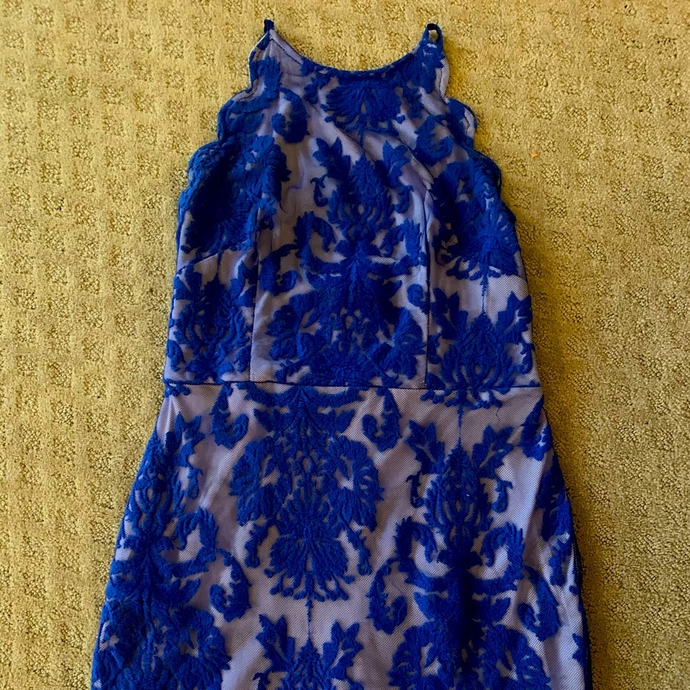 Hello Molly Dress